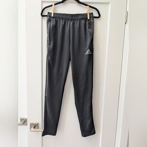 Adidas Athletic Soccer Primegreen Grey Training Pant Size Small